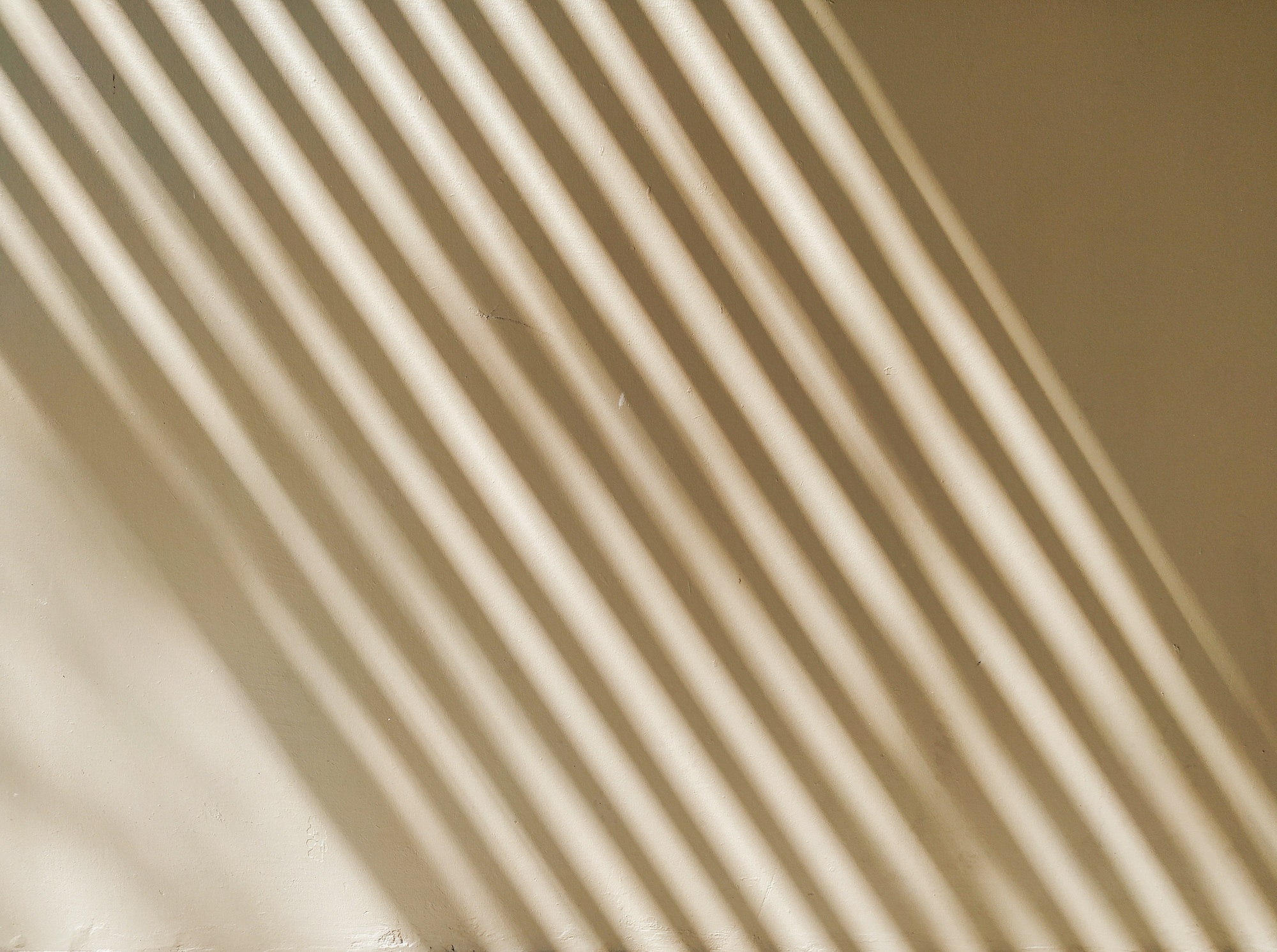 aesthetic shadow on wall